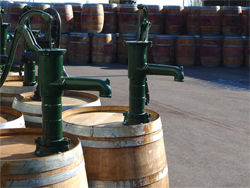 Regentonnen Groothandel Opa Freek