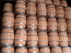 Regentonnen Groothandel Opa Freek